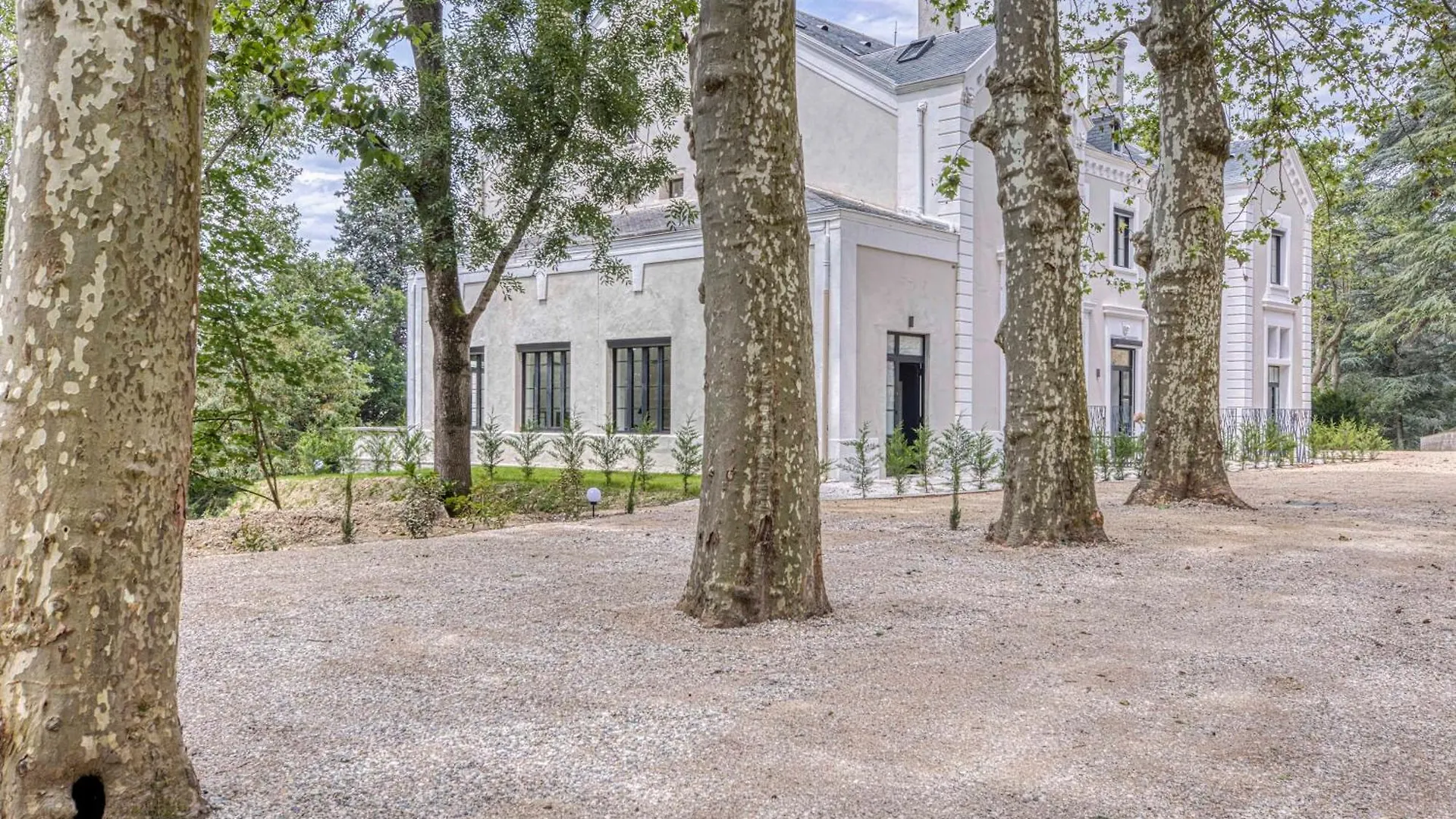 1 - Grand Appartement Spacieux Dans Un Chateau Du 17Eme Siecle, A 15Min De Lyon Vourles