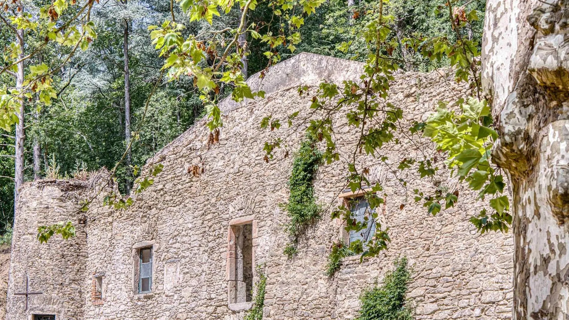 1 - Grand Appartement Spacieux Dans Un Chateau Du 17Eme Siecle, A 15Min De Lyon Vourles 0*,